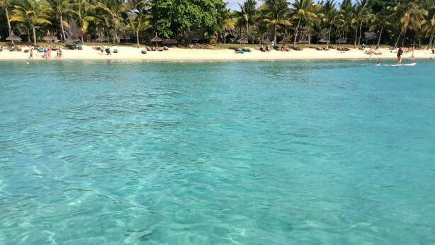 Ein Strand mit klarem türkisblauem Wasser, Palmen und Strandsonnenmatten.
