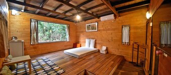 Een boomhut met 4 grote kamers