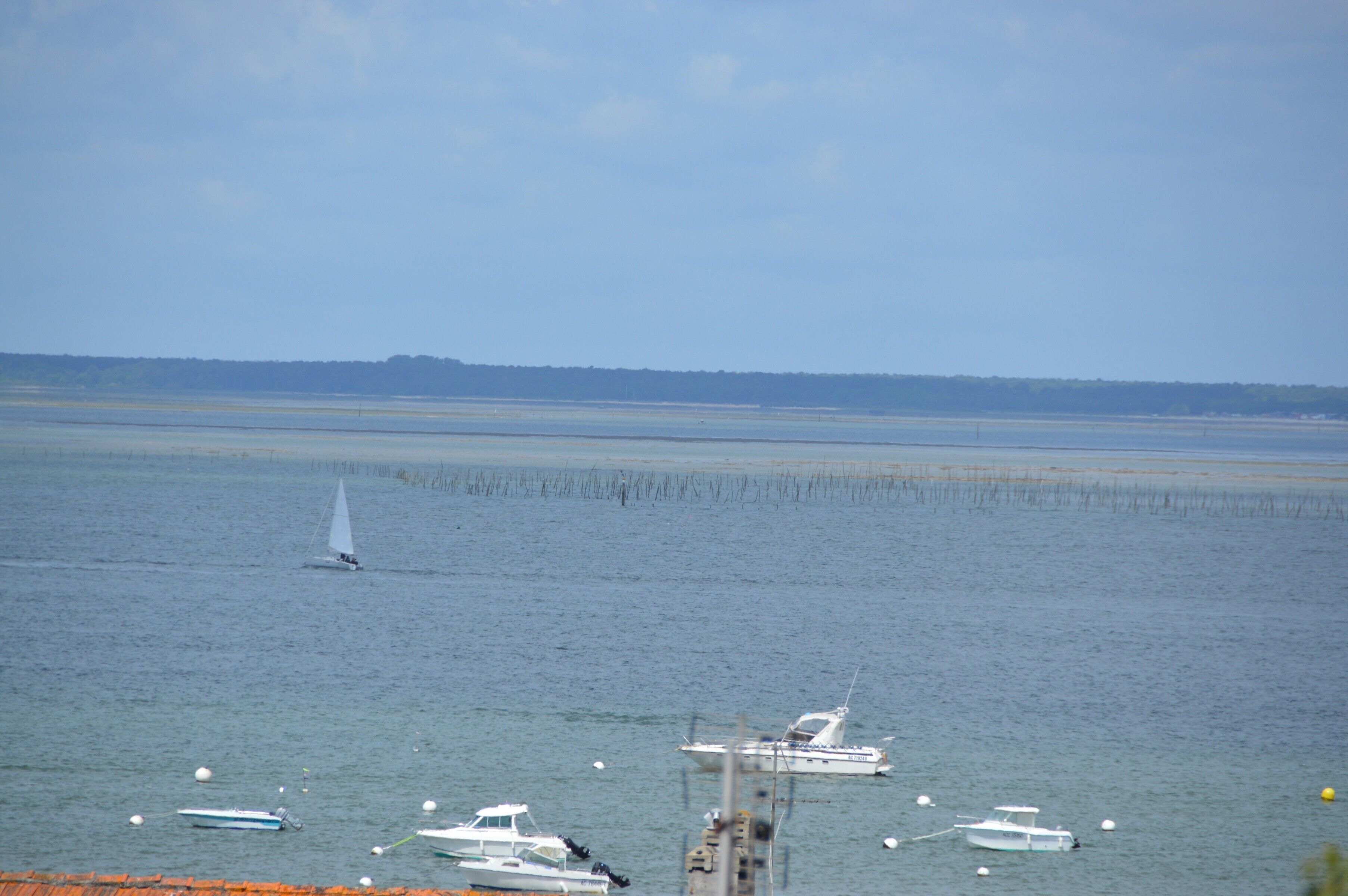 A marina with several boats, including a sailboat and a motorboat, anchored in calm waters.