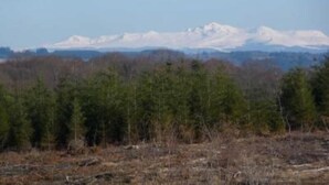 A mountainous landscape with snow-capped peaks and a forested foreground. - Bellchassagne: house  - 2 rooms - 2/3 persons (Bellechassagne)