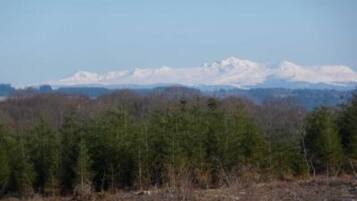 Àrea exterior de l'allotjament