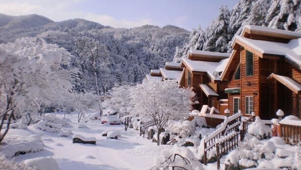 Eine Holzlodge vor einer verschneiten Landschaft, umgeben von Bäumen und Bergen.