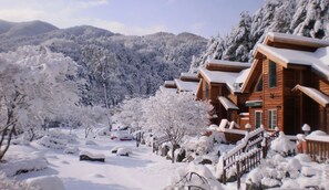 A wooden lodge with a snow-covered landscape, surrounded by trees and mountains. - S & J Pension (Gapyeong)