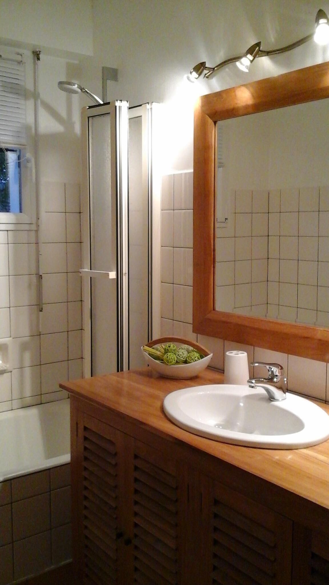 Bathtub, hair dryer, toilet paper