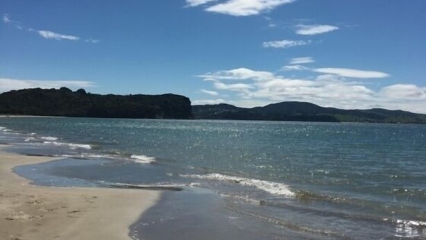 A beach with clear water, a sandy shore, and distant hills. - CooksEstuaryEscape-Waterfront at your doorstep (Price enquire for small groups) (Cooks Beach)