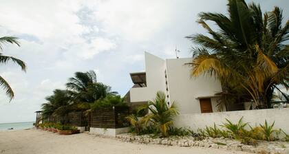 La Casa del Xix / with spectacular palapa and mayan pool