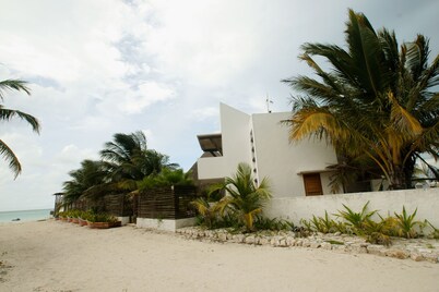 La Casa del Xix / with spectacular palapa and mayan pool