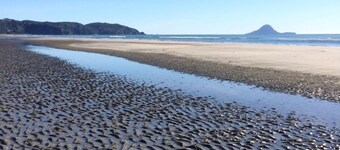 Ohope Beach  2Brm Weekender escape,handy to beach & more!