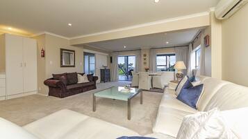 Flat-screen TV, DVD player, books