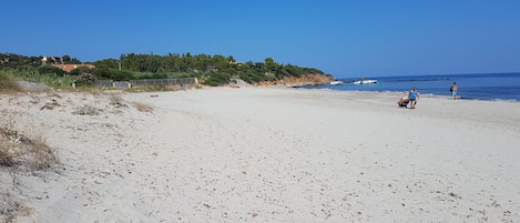 On the beach