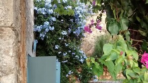 A stone staircase leading up to a building, surrounded by lush greenery and flowering plants. - Stylish Stone Cottage with Pool near Fiskardo (Agrilias)