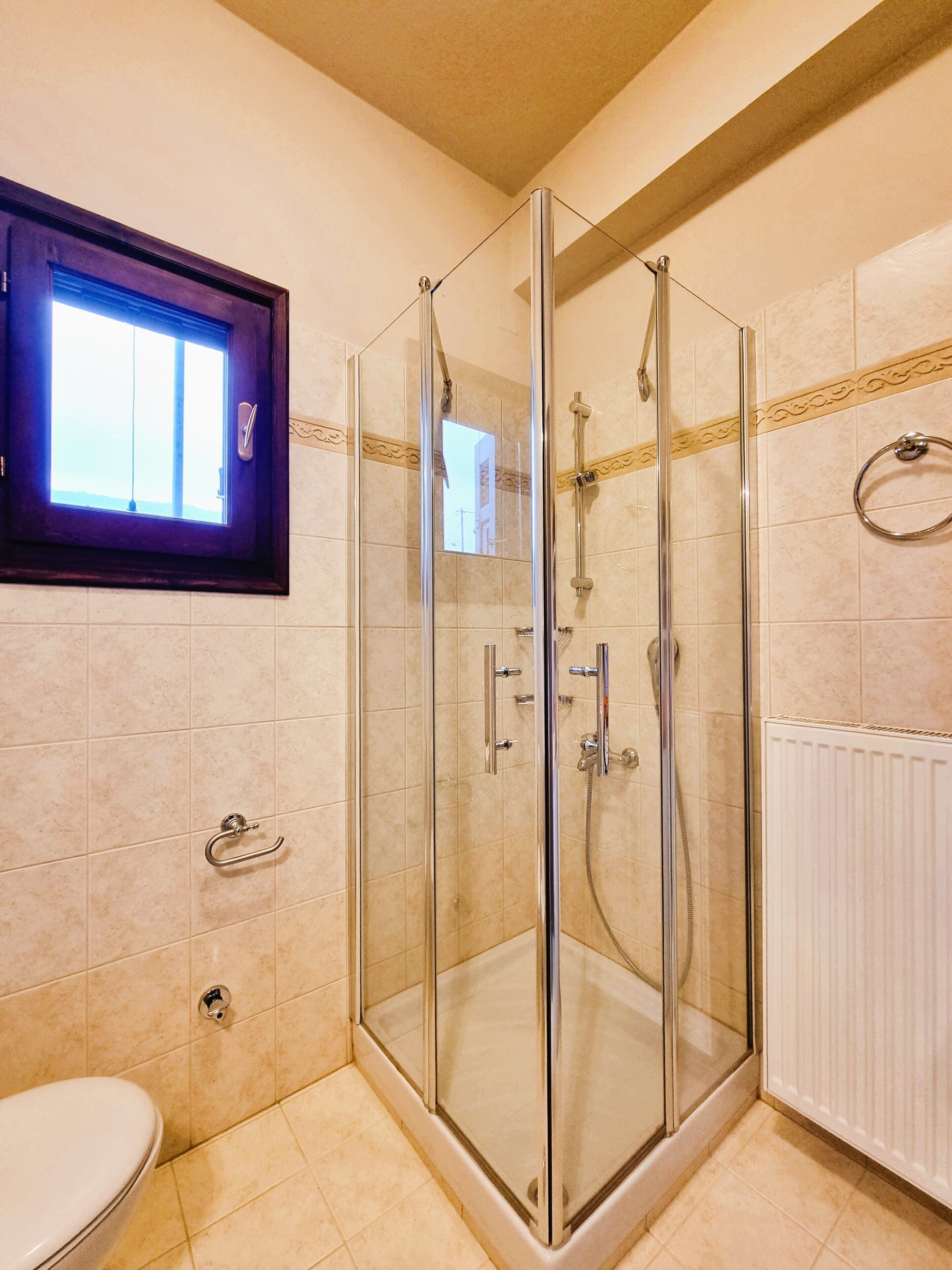 A glass-enclosed shower with a window, a toilet, and a towel ring on the wall.