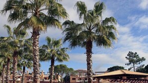 A courtyard with palm trees, a stone pathway, and buildings with a Mediterranean architectural style. - Beautiful 3 bedroom townhouse located in Vila Sol in the heart of the Algarve  (Quarteira Vilamoura)