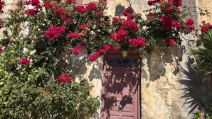 Eine Gebäudefassade mit einer Holztür und einem Fenster, umrankt von üppigem Bougainvillea.