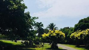 A tray with a sandwich, a bowl of yogurt, a bowl of fruit, and a small container of butter, set against a backdrop of a park with trees and a gravel path. - TopTai B&B (Hengchun)