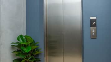 An elevator with a digital display, a potted plant, and a blue wall.