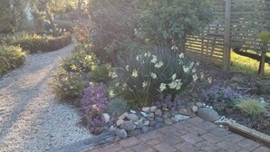 A garden pathway with gravel, a brick border, and various plants including yellow flowers and purple foliage.