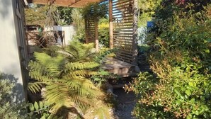 A garden area with a wooden pergola, ferns, and various shrubs.