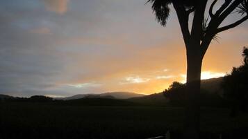 Atardecer sobre un campo, con un árbol destacado en primer plano.