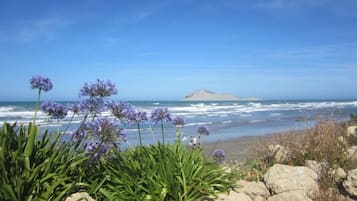 Ubicación cercana a la playa y tumbonas