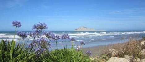 Beach nearby, sun-loungers