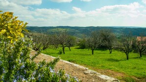 A rural landscape with green fields, trees, and a stone wall. - Erigone Cottage - Beautiful Ambiance (Vasa)