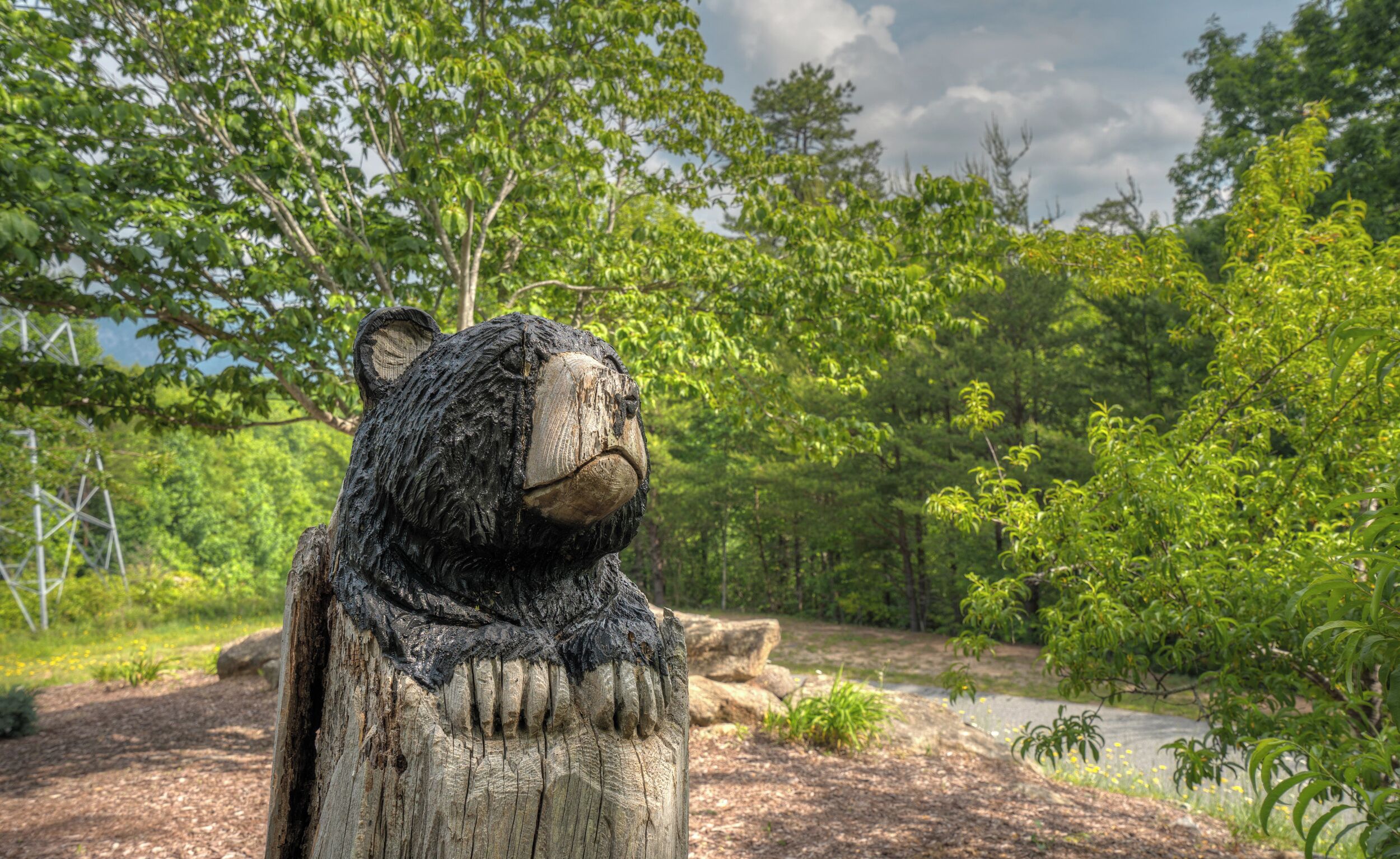 A wooden bear sculpture in a natural setting with trees and a cloudy sky.