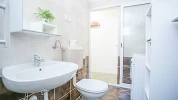 Shower, hair dryer, toilet paper