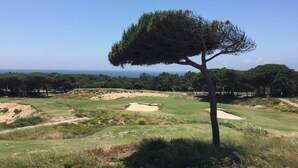 Ein Golfplatz mit Sandbunkern, blauem Himmel und einem Baum im Vordergrund.