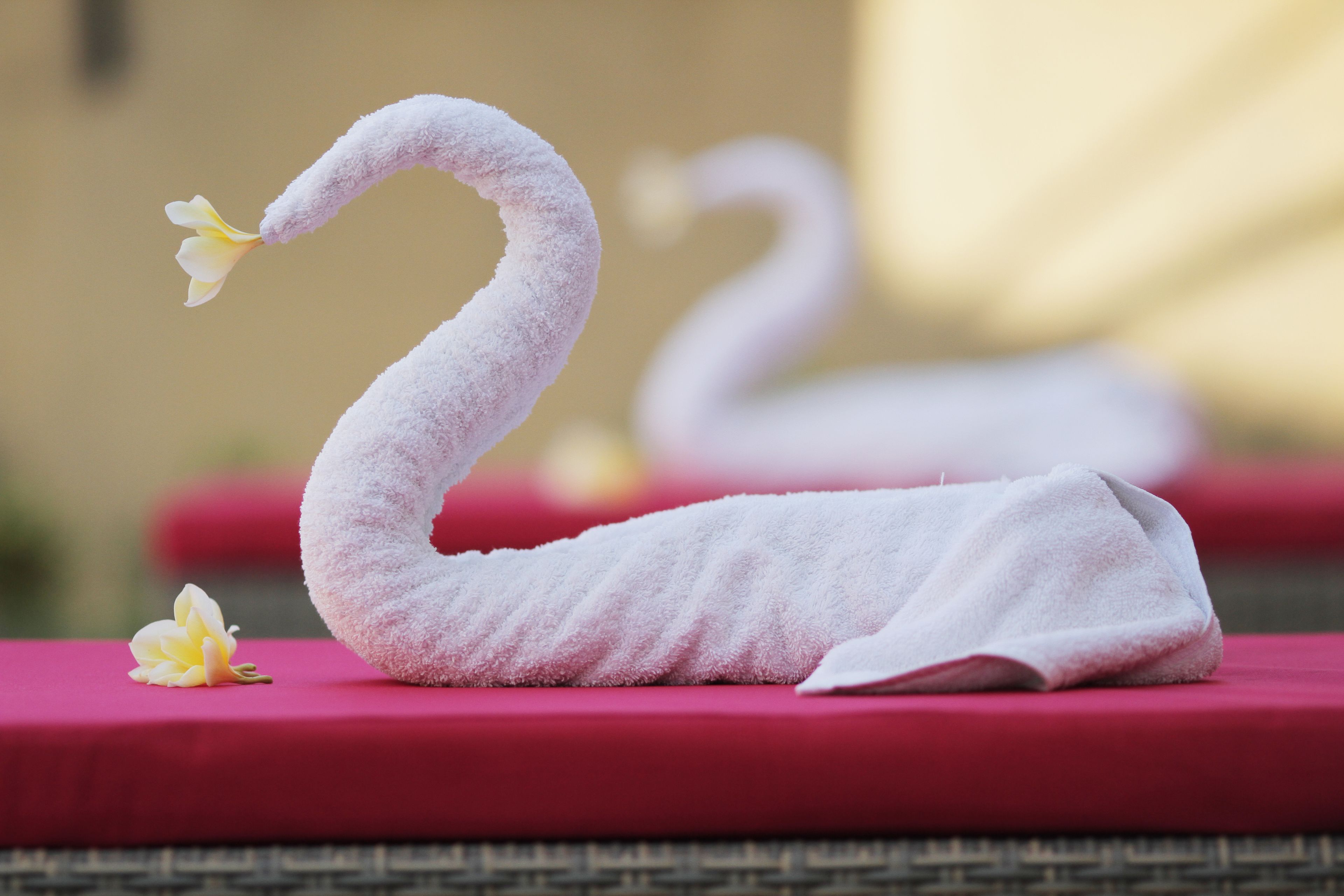 Foto - The Sawah Resort & Villa