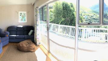 TV, fireplace, DVD player, books