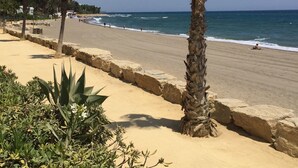 A beach with palm trees, a sandy path, and the ocean. - BEACHFRONT , Central,  quiet,  parking,  pool (Marbella)