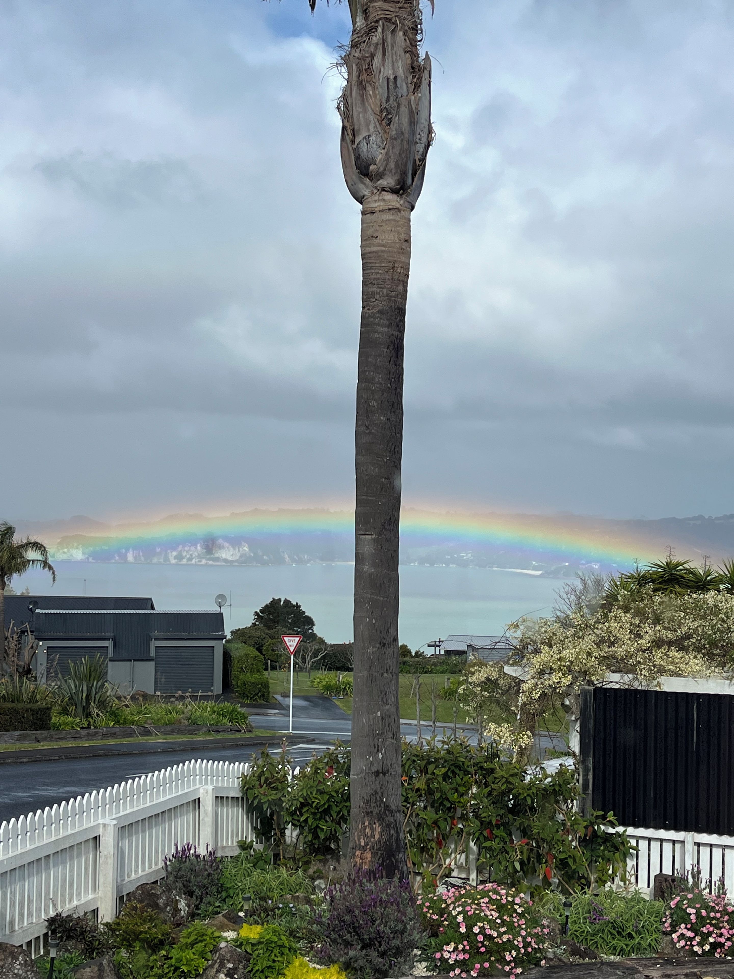 Un palmier avec un arc-en-ciel en arrière-plan, une clôture blanche en bois et une vue sur la mer.