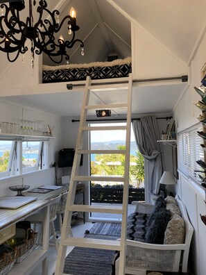 电视、DVD 播放器、书、影片库