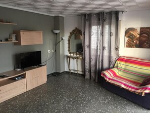 Televisión, reproductor de DVD y libros 