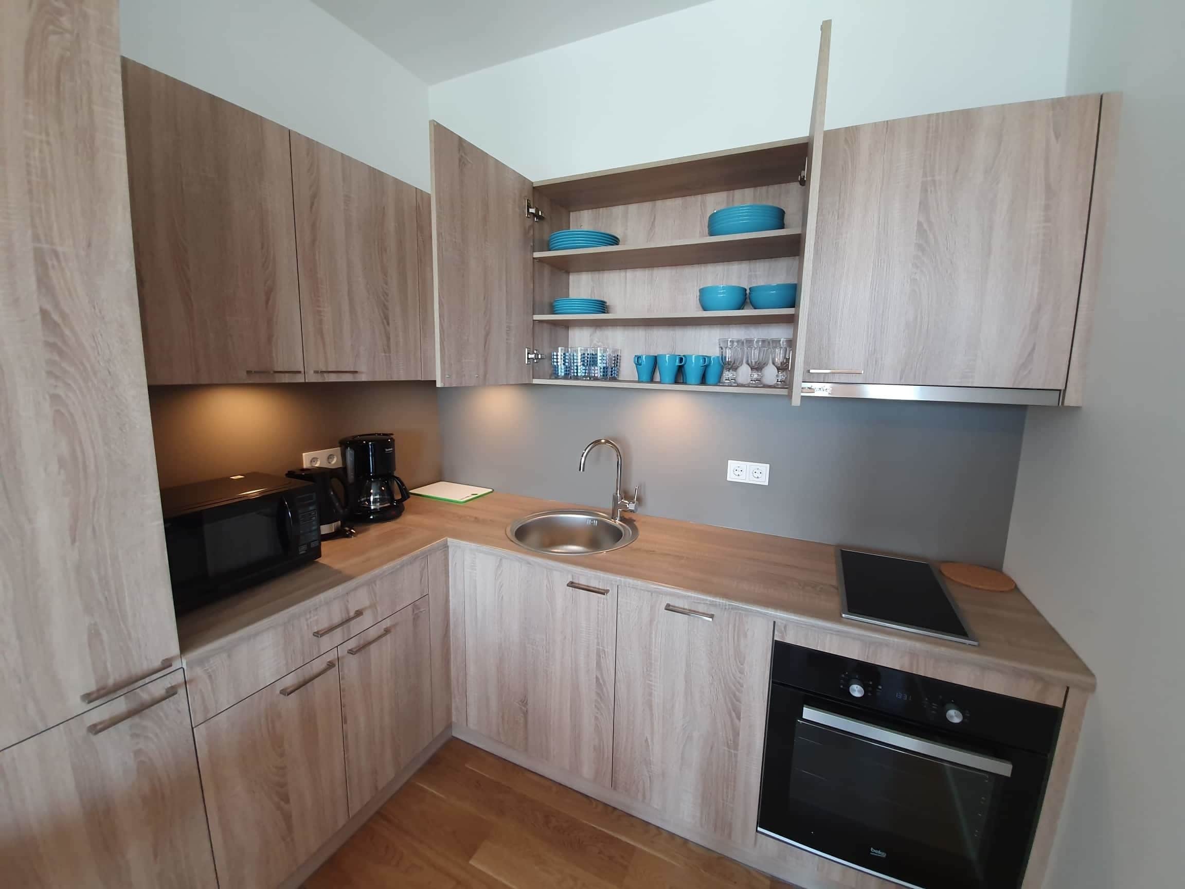 apartment, 1 bedroom (ringi 60) | private kitchen