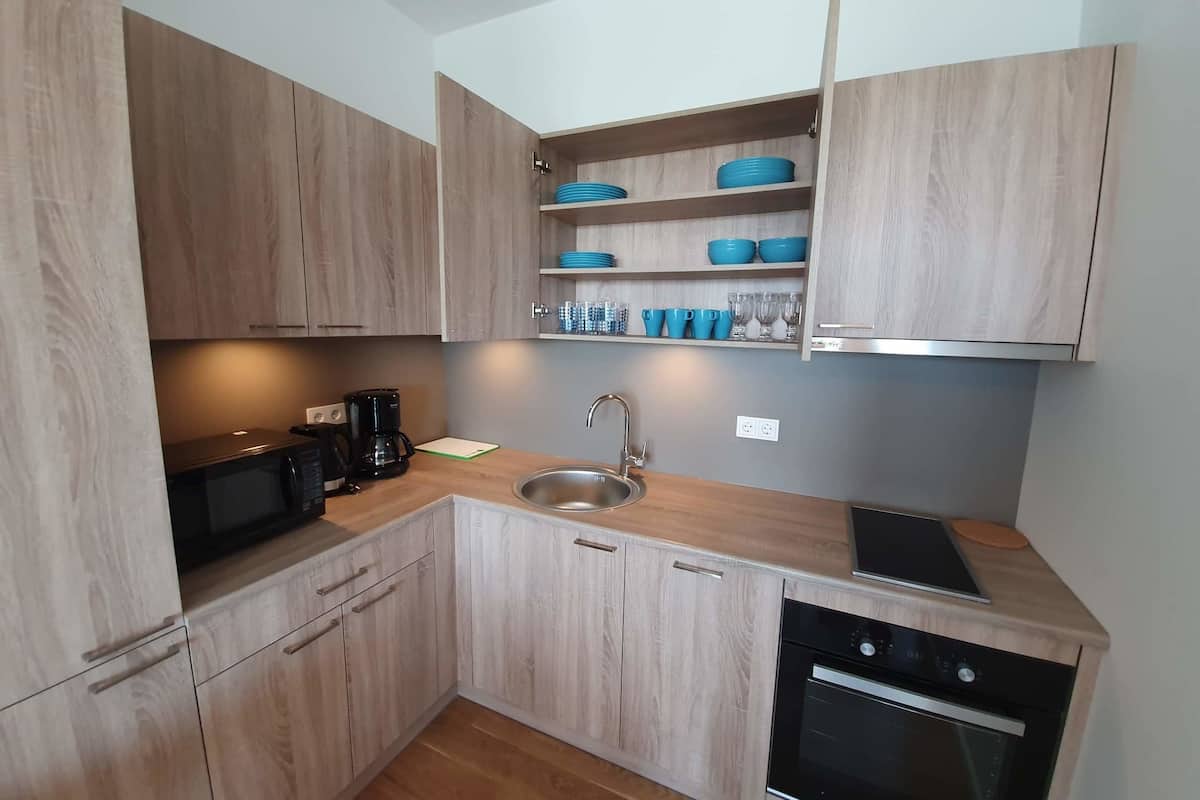 apartment, 1 bedroom (ringi 60) | private kitchen