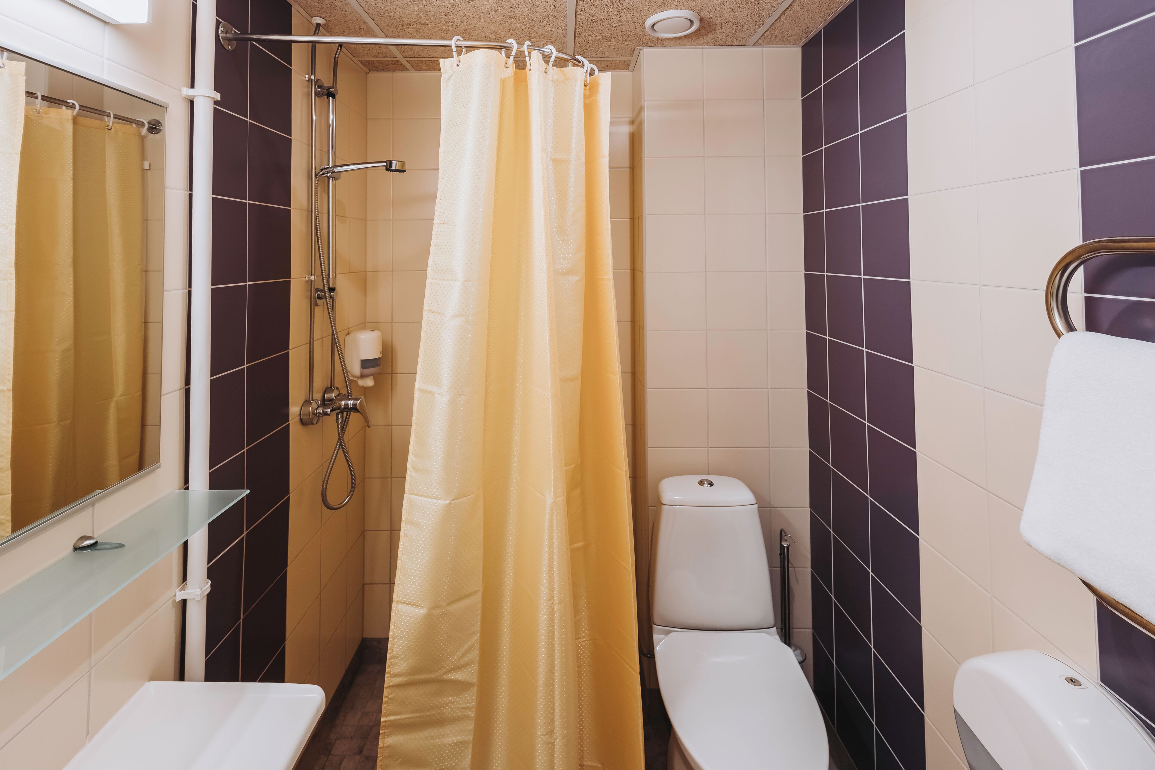 A bathroom with a shower curtain, a toilet, and a sink.
