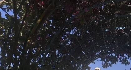 Exclusive apartment overlooking pool and beautiful landscaped gardens, Free Wifi