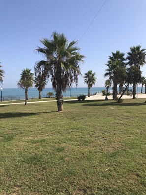 Property grounds - Exclusive apartment overlooking pool and beautiful landscaped gardens, Free Wifi (Torrevieja)