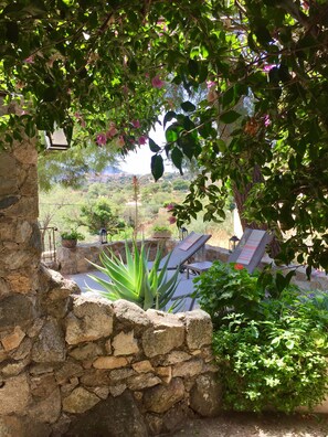Property grounds - House for rent Calvi/Lunghignano/Balagne (Montegrosso)