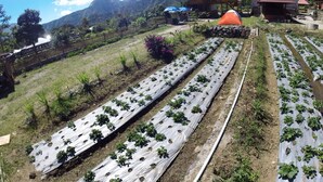 A rural landscape with agricultural fields, wooden structures, and mountains in the background. - Bale Sembahulun Cottages & Tent (Sembalunbumbung)