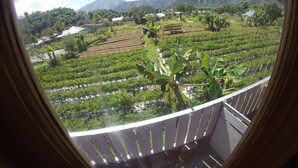 A balcony with a view of terraced fields and mountains. - Bale Sembahulun Cottages & Tent (Sembalunbumbung)