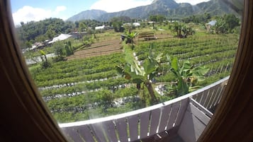 Pemandangan dari kamar