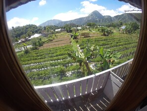 Uitzicht vanuit de kamer