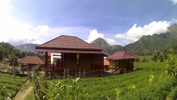 Ngoại thất