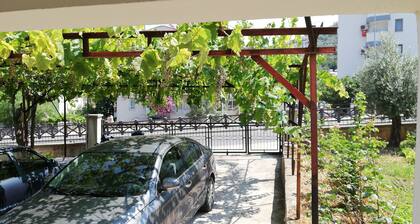 Holiday Hause