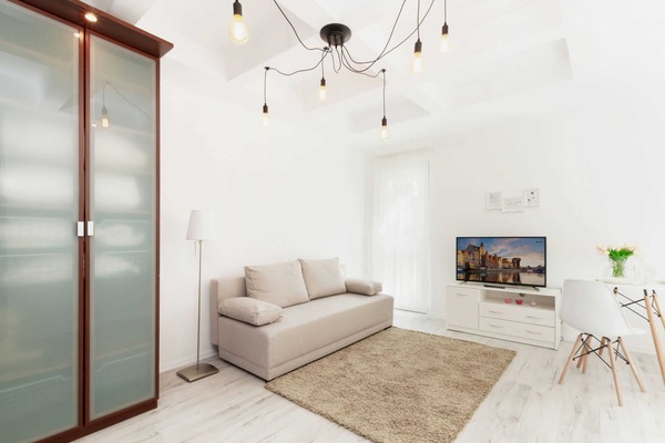 Spacious living room with full equipment.
