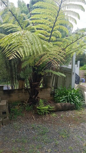 Property grounds - Tranquil Bush Living- on the 'Fringe of Heaven' (Titirangi)
