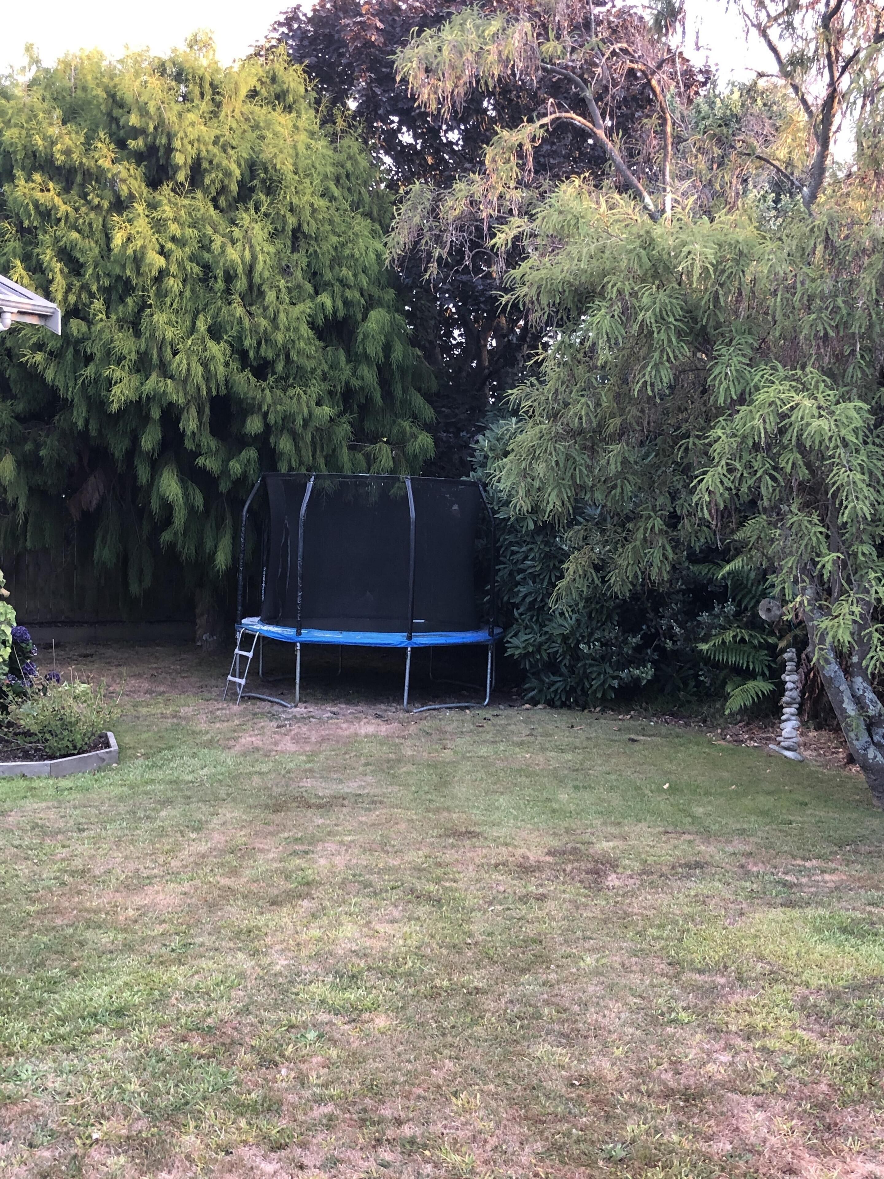 Un jardin avec un trampoline, entouré d’une végétation luxuriante et d’arbres.